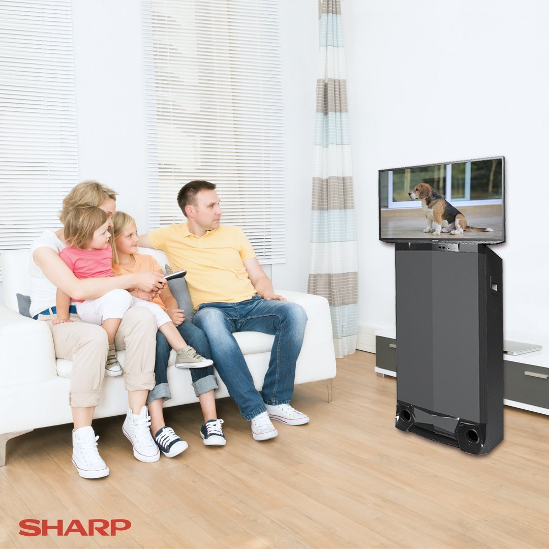 The Sharp Active Multimedia System Your Ultimate Videoke Machine