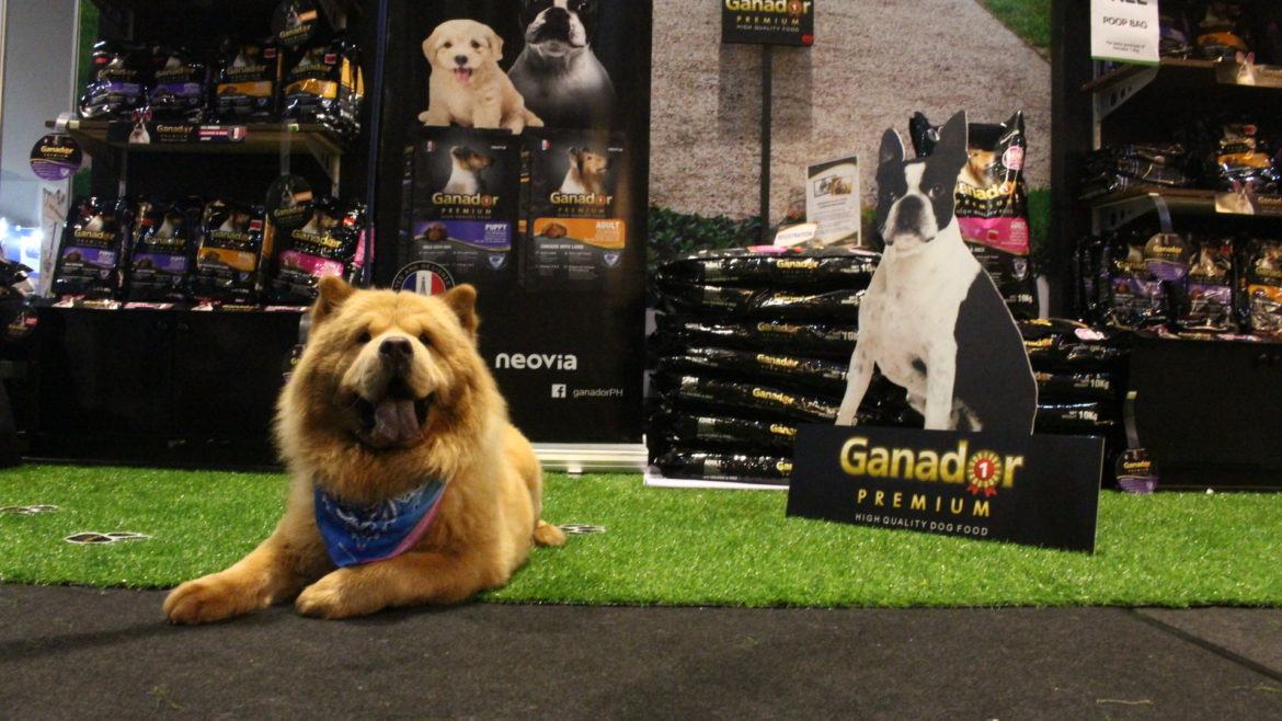 Challenge Accepted: Ganador launched #PawsForASelfie photo contest during Dog and Cat Expo 2019