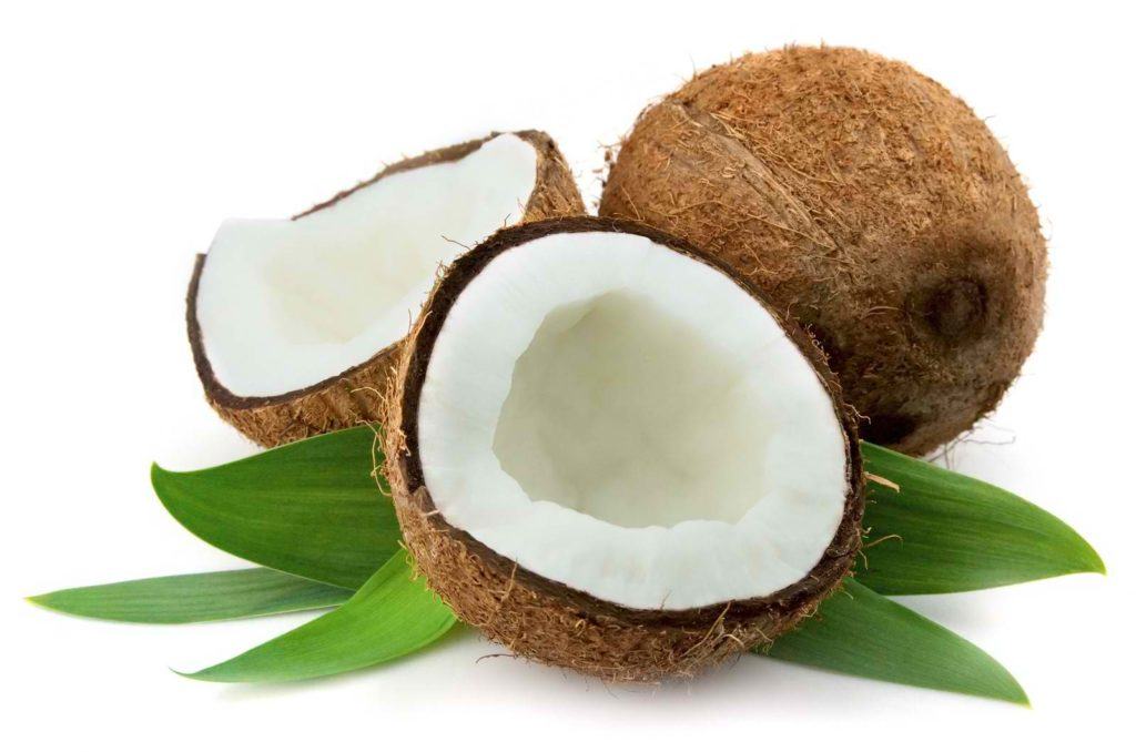 Coconut products are promoted for international export.