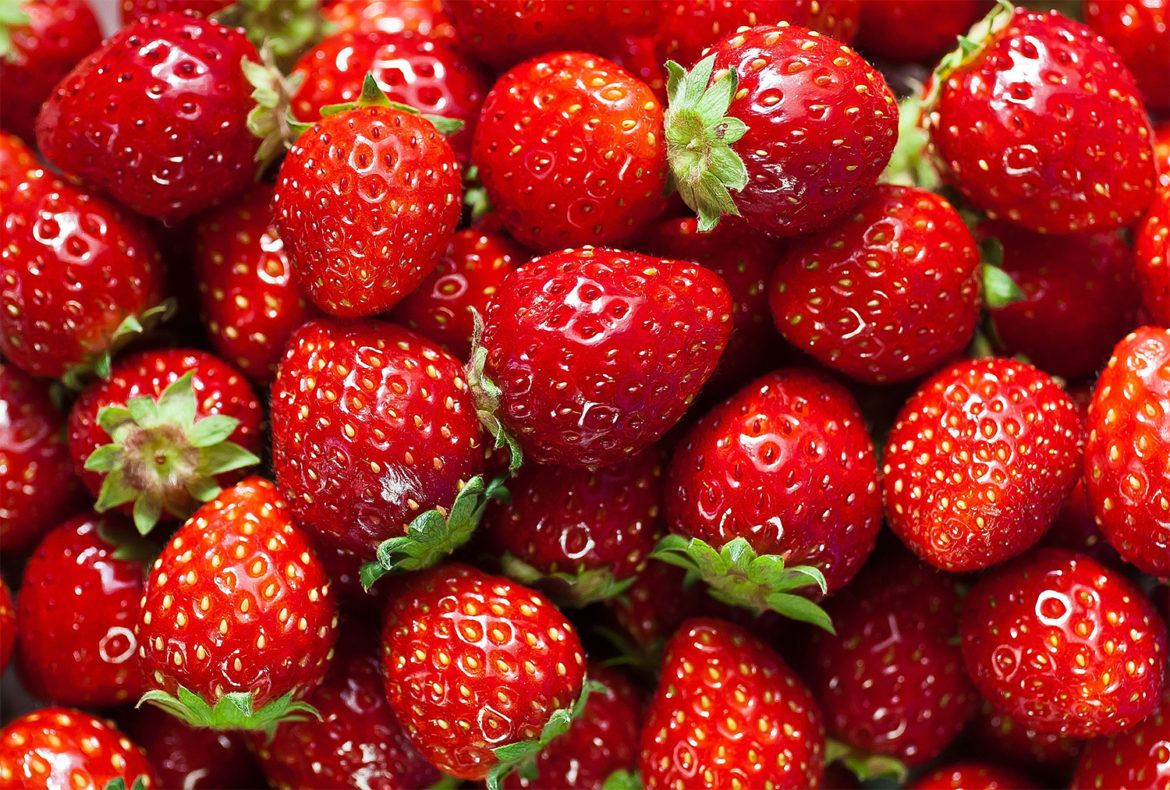 Japan grants P 11-M funding for strawberry commercialization