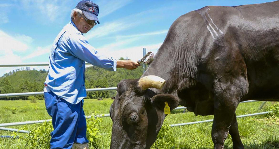 Philippines allows easier entry of goods from Japan