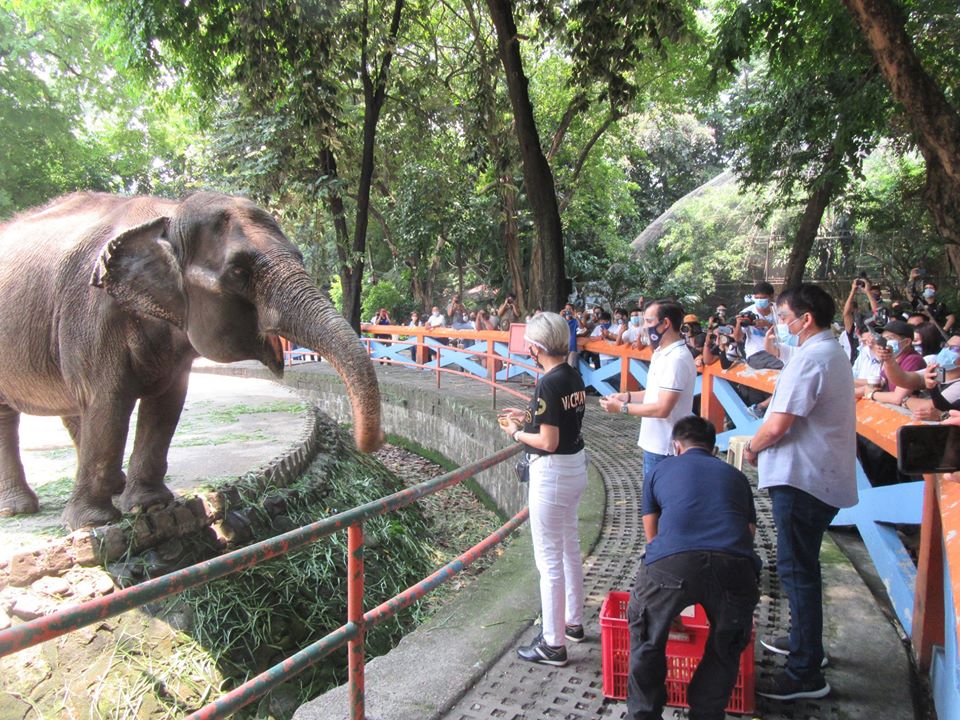 manila-zoo-will-be-the-best-in-asia-isko-says-as-manila-zoo-reopens