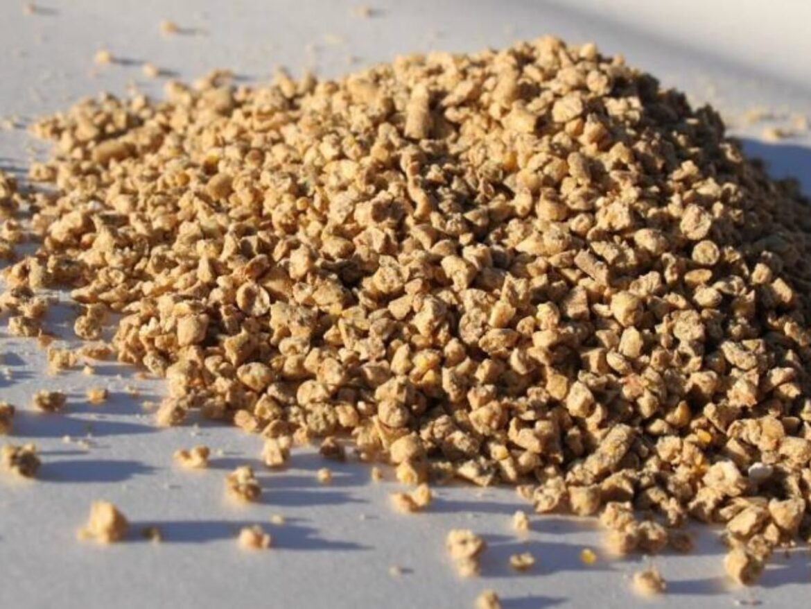 Aboitiz agri unit brings feeds and pet food online